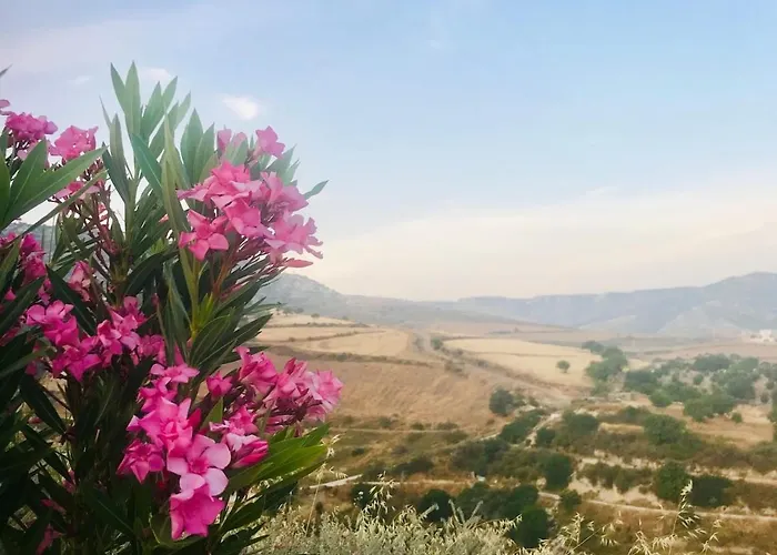 Panoramic Holidays - Premium 8 Peyia